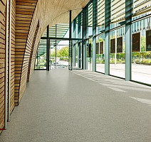 Forbo Marmoleum Decibel on Order 580235 alpine mist фото 2 | FLOORDEALER